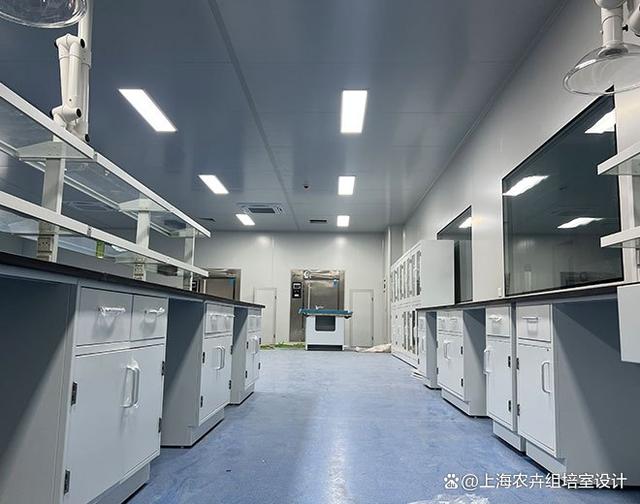 山东淄博甘薯组培室设备全套 打造现代农业实验室成套解决方案